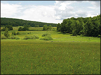 Holý vrch