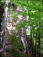 Mäsiarsky bok