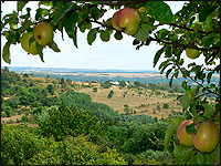 Laznícke ( kopaničiarske ) osídlenie