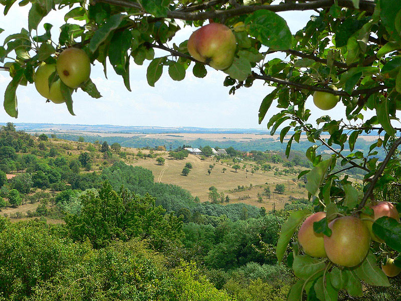 Laznícke ( kopaničiarske ) osídlenie